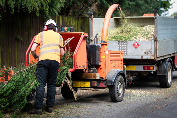 Best Lawn Grading and Leveling  in Cleveland, WI